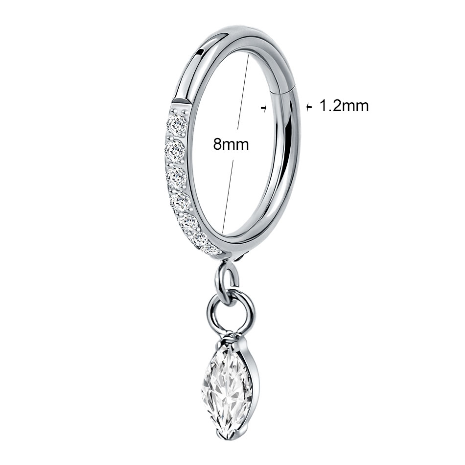 5Pcs Titanium Zircon Hoop Earr - đánh giá và giá Body Jewelry Trend