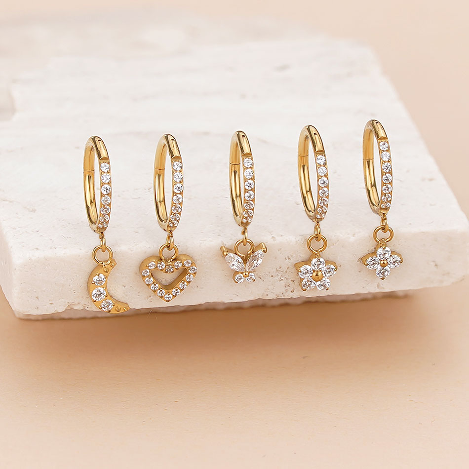 5Pcs Titanium Zircon Hoop Earr - đánh giá và giá Body Jewelry Trend