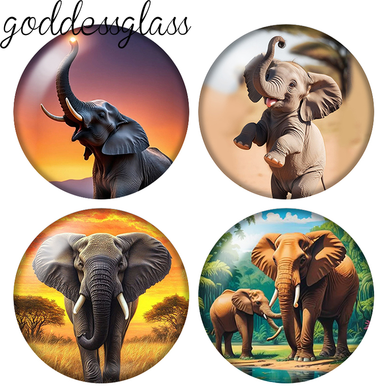 Elephant Cute Wild Animal 10pc - đánh giá và giá Body Jewelry Top